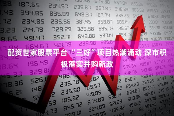 配资世家股票平台 “三好”项目热潮涌动 深市积极落实并购新政