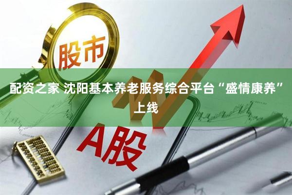 配资之家 沈阳基本养老服务综合平台“盛情康养”上线